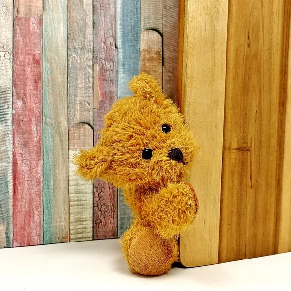 Bear n' Bee