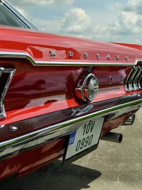 Mustang Run Wild